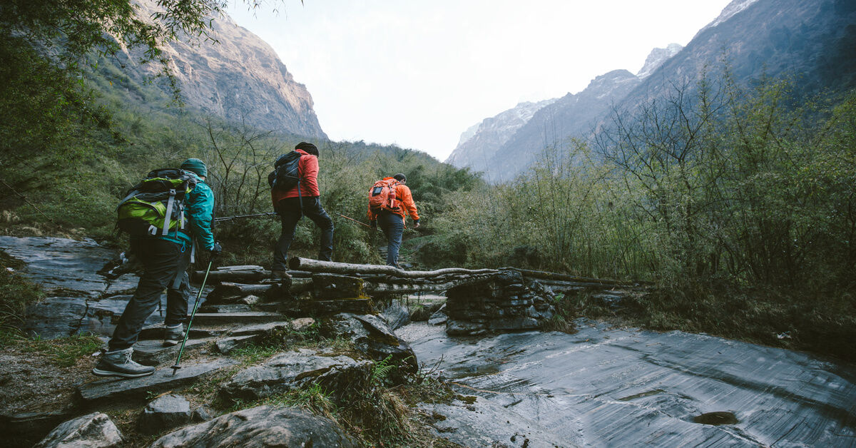 Three trekkers wearing bright gear and rucksacks use a small log bridge to walk over a creek.